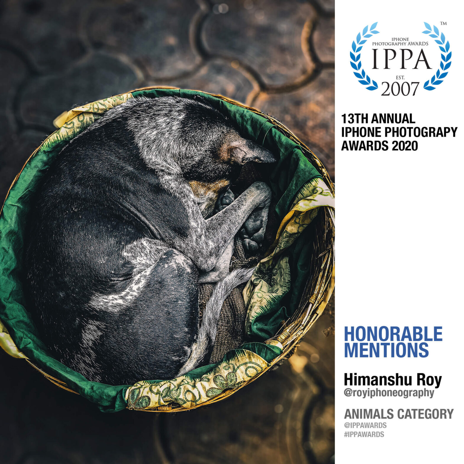 iPhone Photography Awards (IPPAWARDS) - 2020
