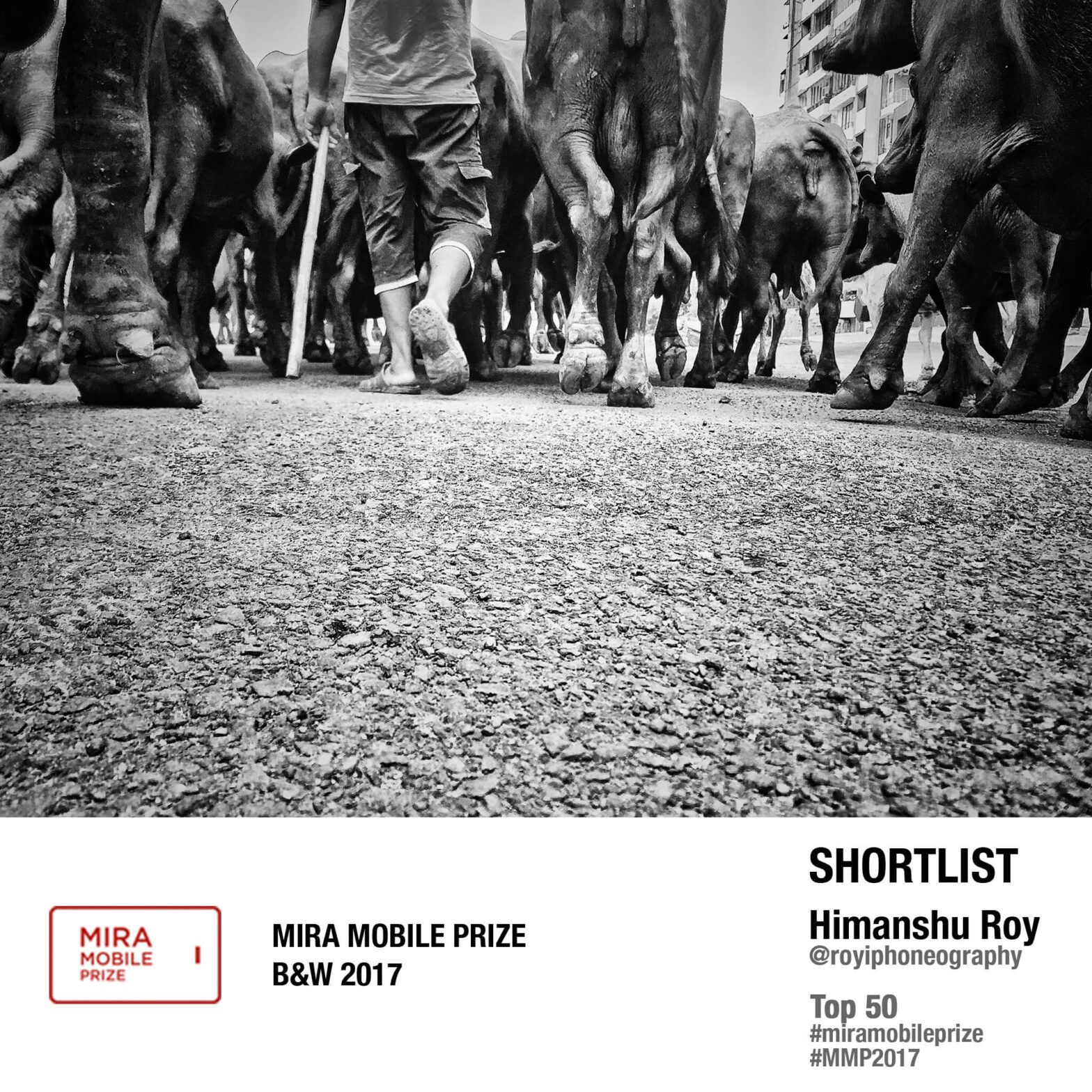 Mira Mobile Prize B&W Top 50 (Porto, Portugal) - 2017